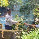 ପୂର୍ବତନ ବିଧାୟିକାଙ୍କ ଦୁଇ ଭାଇଙ୍କ ମଧ୍ୟରେ ବିବାଦ, ବୋମାମାଡରେ ଜଣେ ଆହତ, ଜଣେ ଅଟକ