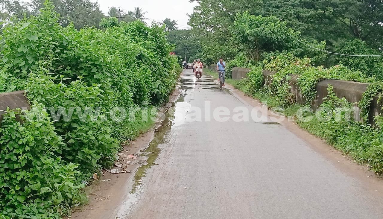 ଅବହେଳିତ ବ୍ରିଟିଶ ଅମଳର ବରୁଆଁ ସେତୁ
