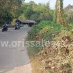 ପାକିସ୍ତାନରେ ମହଙ୍ଗା ମାଡ଼: ଟମାଟୋ କିଲୋ ୬୦୦, ଅଦା କିଲୋ ୭୫୦ ଟଙ୍କା