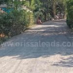 ସ୍ନେହାଙ୍ଗିନୀଙ୍କୁ ଶୁଭେଚ୍ଛା ଜଣାଇଲେ ଇଂ ପ୍ରୀତିରଞ୍ଜନ ଘଡାଇ