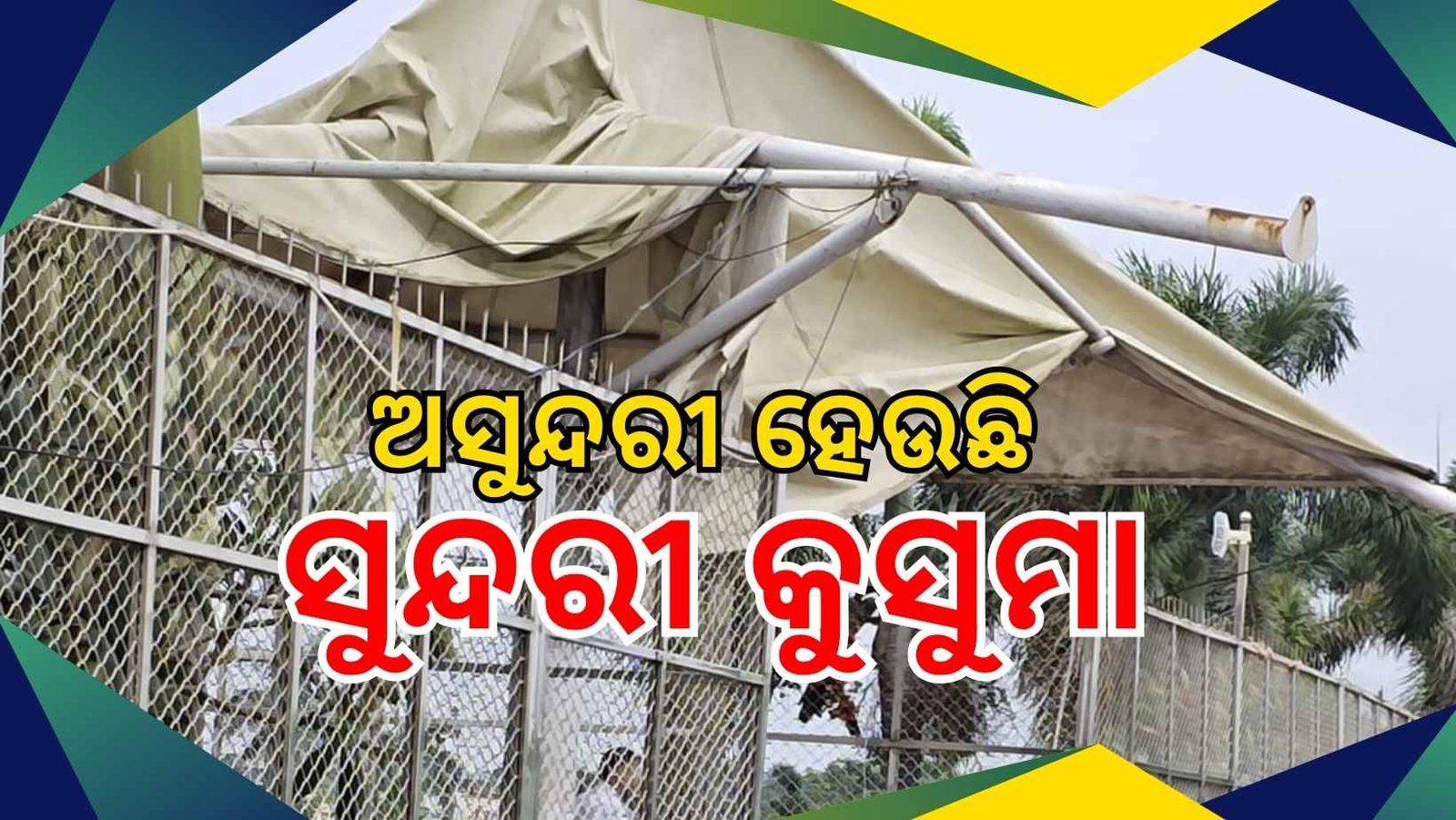 ଅସୁନ୍ଦରୀ ହେଉଛି ସୁନ୍ଦରୀ କୁସୁମା, ପ୍ରଶାସନର ନିଘା ନାହିଁ