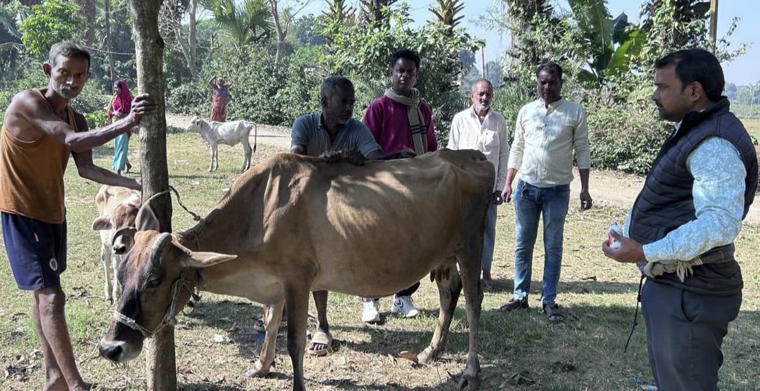 ଯଜ୍ଞେଶ୍ଵର ପଡିଆରେ ପ୍ରାଣୀ ଚିକିତ୍ସା ଶିବିର ଅନୁଷ୍ଠିତ