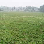 ସୁପ୍ରିମକୋର୍ଟର ୫୩ତମ ପ୍ରଧାନ ବିଚାରପତି ଭାବେ ଶପଥ ନେଲେ ଜଷ୍ଟିସ ସୂର୍ଯ୍ୟକାନ୍ତ