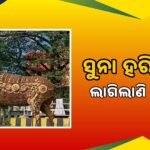 ରାସ୍ତାରେ ଲହଡି ମାରୁଛି ପାଣି, ନଷ୍ଟ ହେଉଛି ରାସ୍ତା