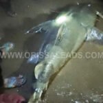 ଭୁଷୁଡୁଛି ବରୀ ବିଜେଡି ଗଡ଼: ବିଜେପିରେ ସାମିଲ ହେଲେ ବରୀ ବ୍ଲକ ଅଧ୍ୟକ୍ଷଙ୍କ ସମେତ ୫ ସମିତି ସଭ୍ୟ ଓ ୩ ସରପଞ୍ଚ