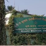 ଲୁଟିଆଙ୍କ ଭୂସ୍ବର୍ଗ ପାଲଟିଛି ସୁକିନ୍ଦା, ପ୍ରଶାସନ ନିରବ ଦ୍ରଷ୍ଟା