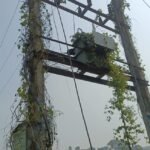 ସେବା, ସ୍ୱାଭିମାନ ଓ ସଂଗ୍ରାମ ଆମ ମନ୍ତ୍ର, ବିଜେଡି ୧୦୦ ବର୍ଷ ରହିବ:ନବୀନ ପଟ୍ଟନାୟକ