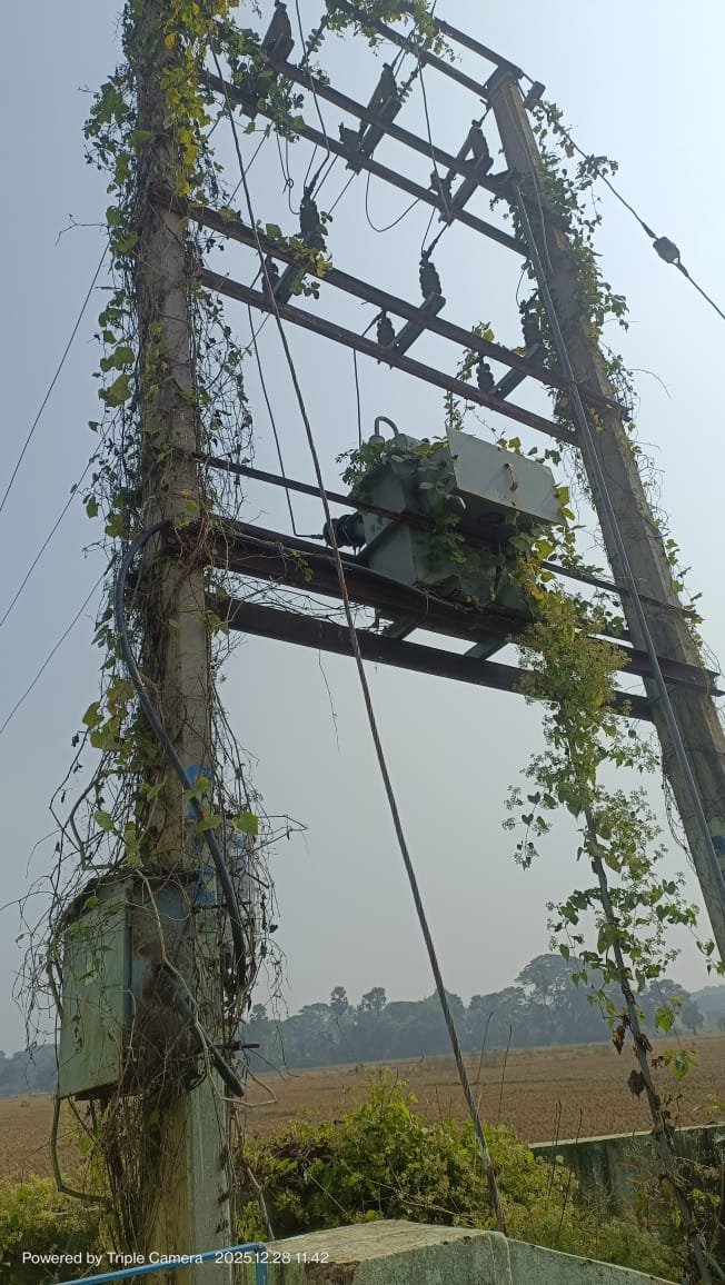 ରାଜ୍ୟ ସରକାରଙ୍କ ଚାଷ ପ୍ରୀତିର ନମୁନା: ବନ୍ଦ ପଡିଛି ଉଠା ଜଳ ସେଚନ ପ୍ରକଳ୍ପ, ୨୪ ହେକ୍ଟର ଜମି ପଡିଆ