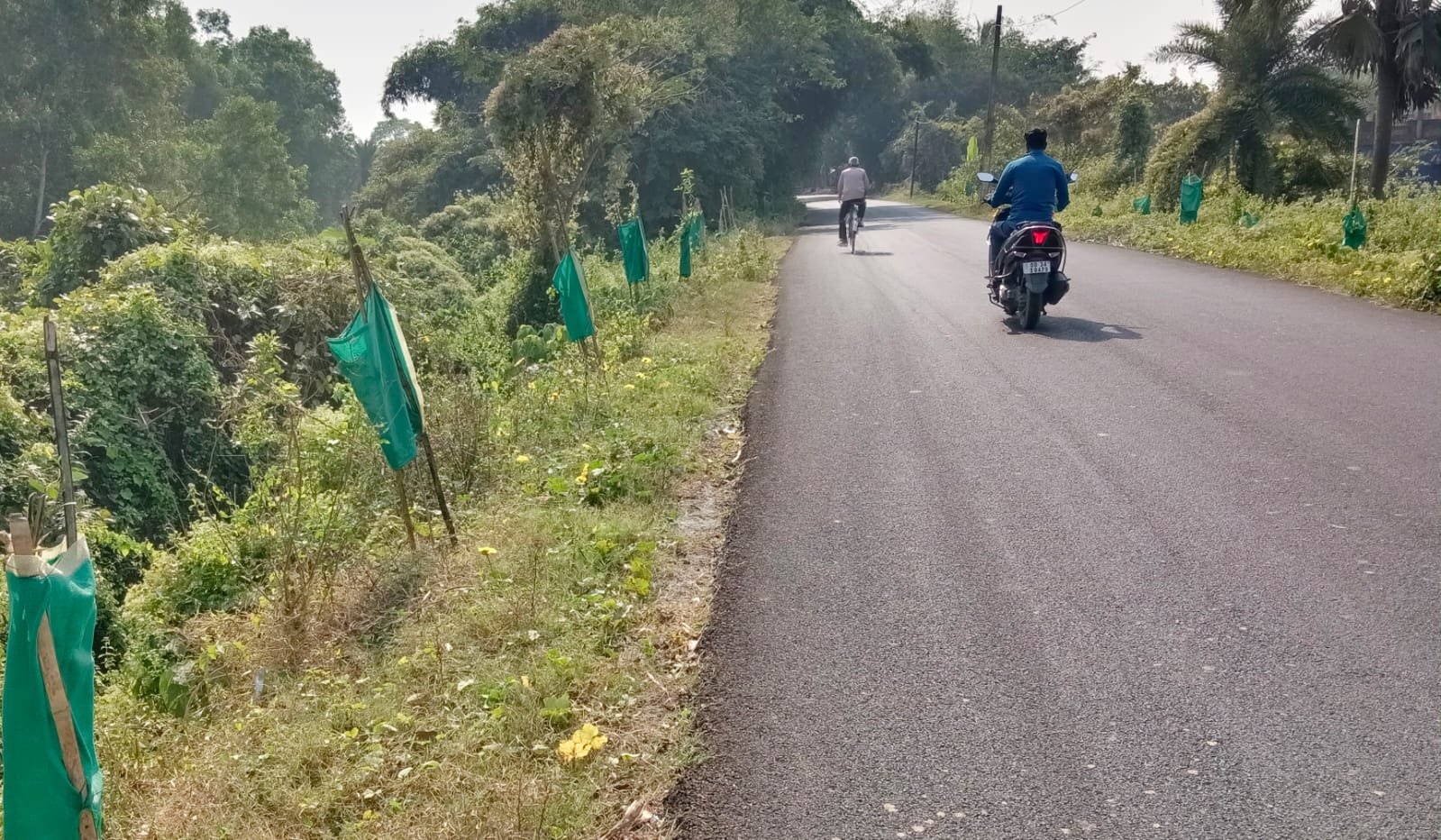 ବରୀ ମାଉଣ୍ଡ-ଦରଘା ରାସ୍ତା: ପିଚୁ ପରେ ରାସ୍ତା କଡରେ କେବେ ପଡିବ ନାଲିମାଟି