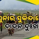 ନଦୀରେ ବୁଡି ଛାତ୍ର ମୃତ