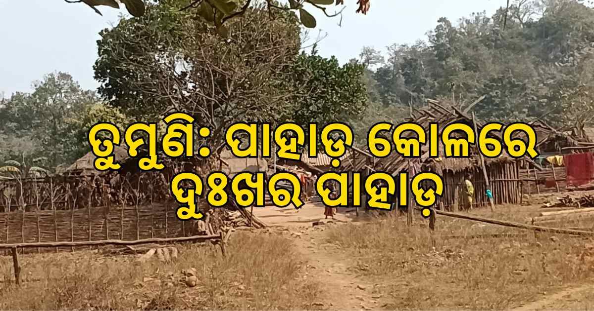 ତୁମୁଣି: ପାହାଡ଼ କୋଳରେ ଦୁଃଖର ପାହାଡ଼