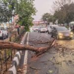 ଝାଡ଼ଖଣ୍ଡରେ ଏୟାର ଆମ୍ବୁଲାନ୍ସ ଦୁର୍ଘଟଣାଗ୍ରସ୍ତ, ଆମ୍ବୁଲାନ୍ସରେ ଥିଲେ ୭ ଜଣ