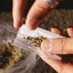 ଅନୁଗୁଳ ପୋକ୍‌ସୋ କୋର୍ଟଙ୍କ ରାୟ