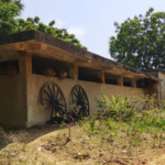 ଆକ୍ବିବ ନବିଙ୍କ ପାଇଁ ମୁହଁ ଖୋଲିଲେ ଭେଙ୍ଗସରକାର: ବନ୍ଦ କରିଦିଅ ଘରୋଇ କ୍ରିକେଟ ପ୍ରତିଯୋଗିତା