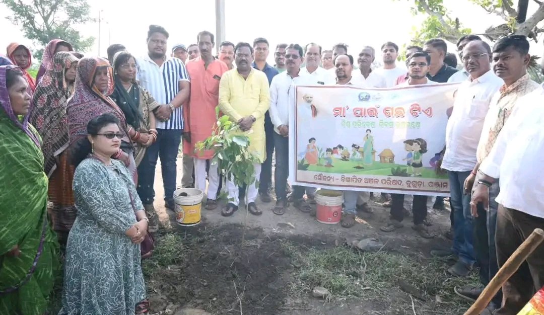 ଗଞ୍ଜାମ ଜିଲ୍ଲାରେ ବିଶ୍ୱ ପରିବେଶ ଦିବସ ପାଳିତ: ସବୁଜ ପୃଥିବୀ ଗଠନ ପାଇଁ ଆହ୍ୱାନ