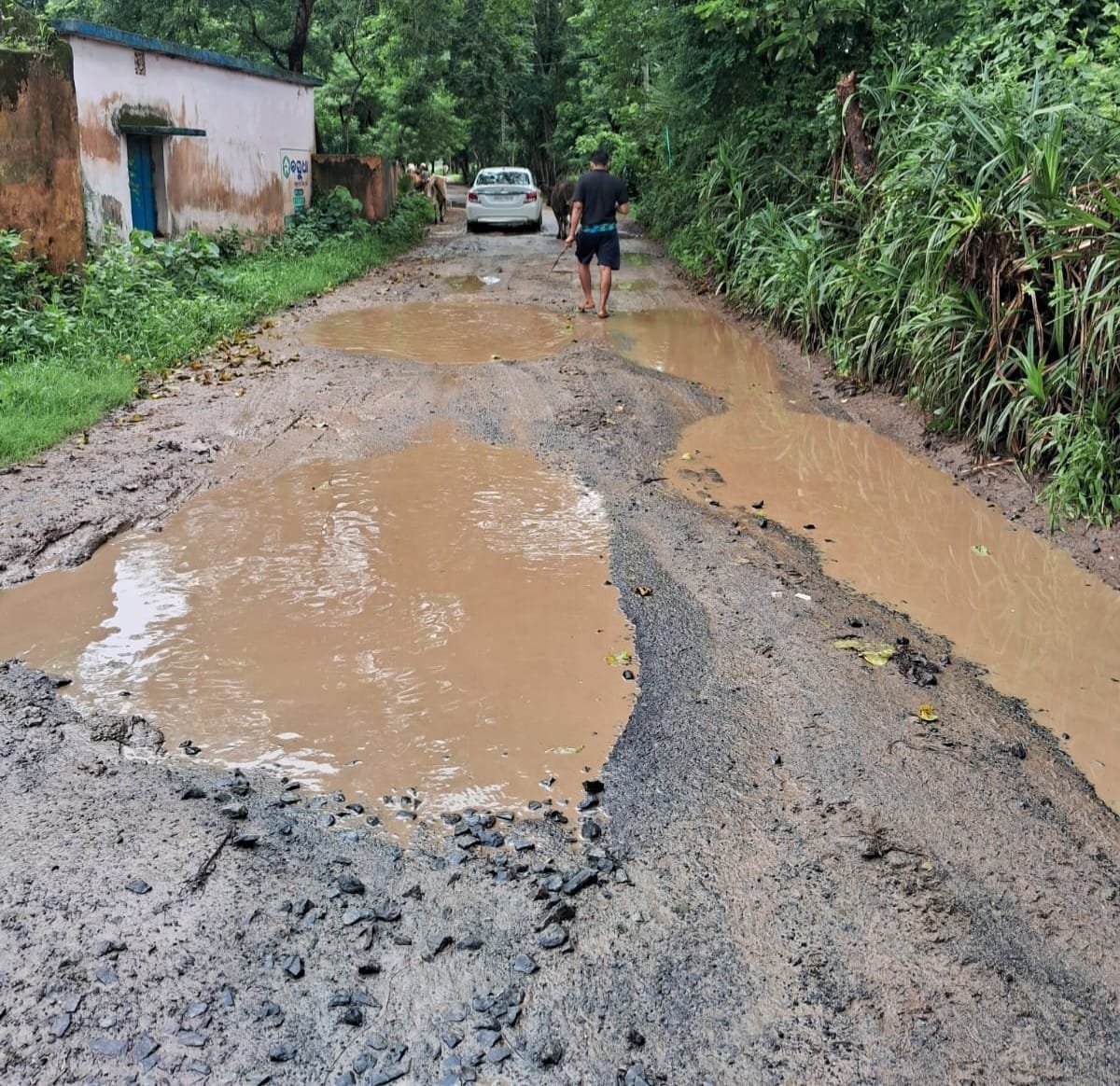 ସୁଜନପୁର-ରୁଦ୍ରପୁର ରାସ୍ତା ଶୋଚନୀୟ, ସାଧାରଣରେ ତୀବ୍ର ପ୍ରତିକ୍ରିୟା