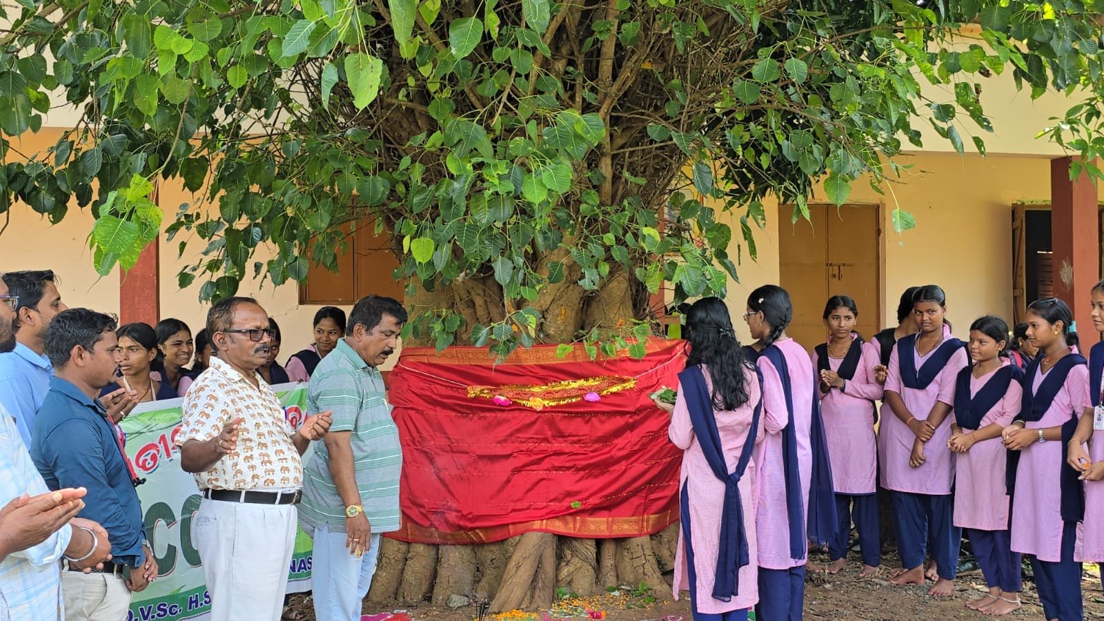 ରାକ୍ଷୀ ପୂର୍ଣ୍ଣିମାରେ ବୃକ୍ଷ ପୂଜା କଲେ ଛାତ୍ରଛାତୀ