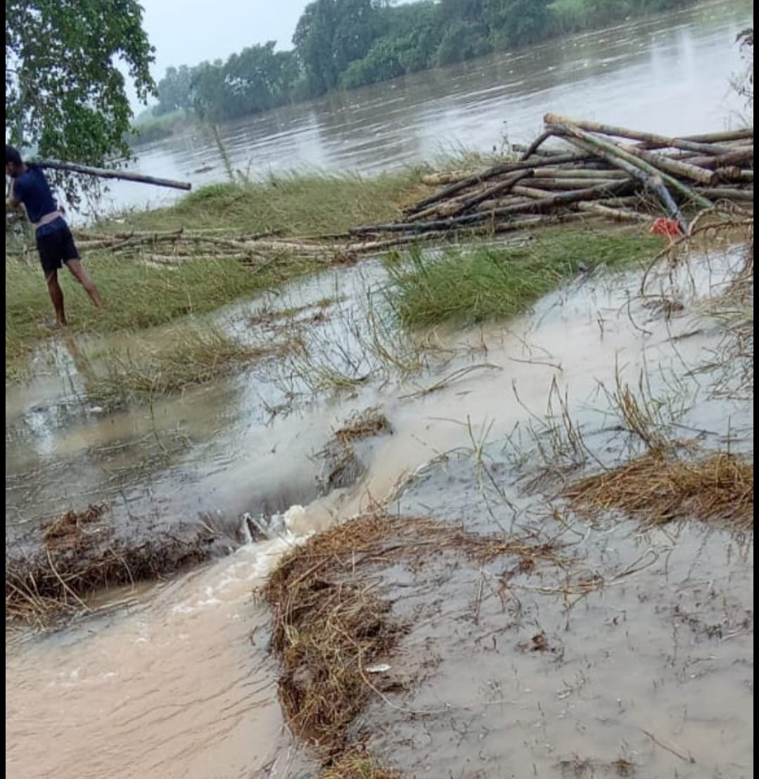 ବଢୁଛି ବ୍ରାହ୍ମଣୀ, ଅରୁଆଳ ଘାଇରେ ପୁଣି ବନ୍ୟା ଜଳ ପ୍ରବେଶ