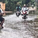 ରାକ୍ଷୀ ପୂର୍ଣ୍ଣିମାରେ ବୃକ୍ଷ ପୂଜା କଲେ ଛାତ୍ରଛାତୀ