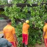 କୃପାସିନ୍ଧୁ ସରକାରୀ ଉଚ୍ଚ ବିଦ୍ୟାଳୟ ଖେଳ ପଡ଼ିଆରେ ଆଣ୍ଠୁଏ ପାଣି, ନିଷ୍କାସନର ସ୍ଥାୟୀ ବ୍ୟବସ୍ଥା ଦାବି