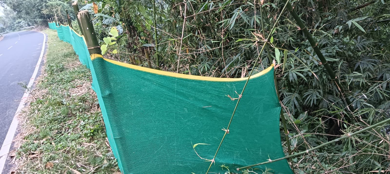 ବରୀ ବ୍ଲକରେ ସରକାରୀ ଅର୍ଥ ଲୁଟର ମାଧ୍ୟମ ସାଜିଛି ବୃକ୍ଷ ରୋପଣ: ଲୁଟ ହେଉଛି ଲକ୍ଷ ଲକ୍ଷ ଟଙ୍କା